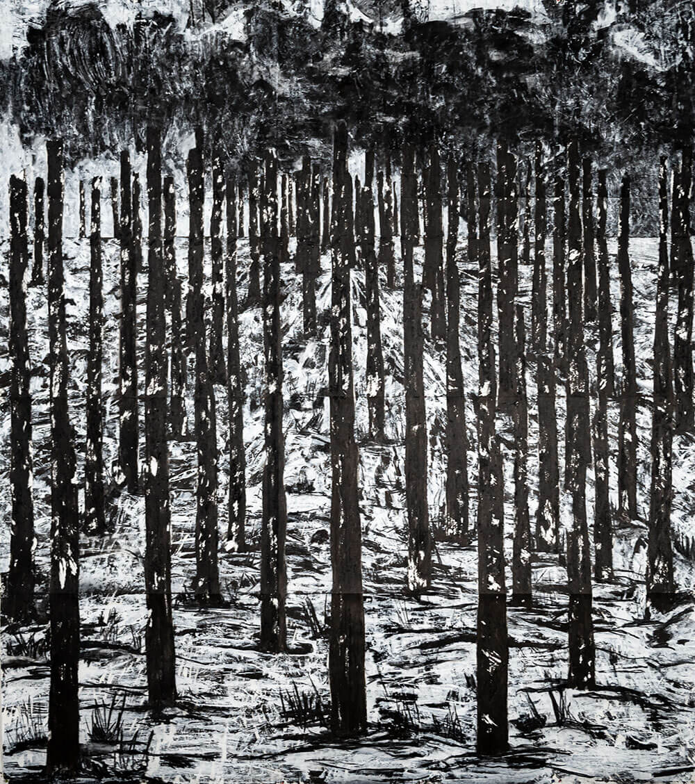 Patricio Raineri | Black Forests 5